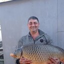 ���������� ������, ���� ������� �����, 44 ����, ������������ ��� ������, ����� � ���������