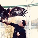 ���������� �������, ���� ������� �����, 36 ���, ������������ ��� ������, ����� � ���������