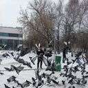 ���������� ����������, ���� ������� Elvin, 35 ���, ������������ ��� ������, ����� � ���������