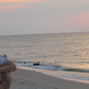  ,   DELFIN, 45 ,   