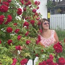 ���������� ���������, ���� ������� �������, 66 ���, ������������ ��� ������, ����� � ���������, c�������� ���������