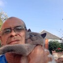  ,   , 51 ,   ,   