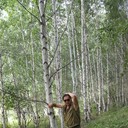  ,   , 50 ,   ,   , c 