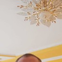  ,   , 42 ,   ,   , c 