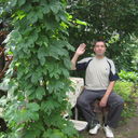  ,   , 60 ,   ,   , c 