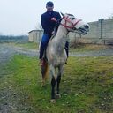 ���������� ���, ���� ������� Roma, 34 ����, ������������ ��� ������, ����� � ���������, c�������� ���������