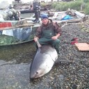 ���������� ���������, ���� ������� ������, 40 ���, ������������ ��� c�������� ���������