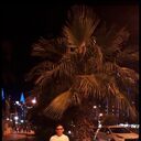 ���������� �������, ���� ������� ����, 46 ���, ������������ ��� ������, ����� � ���������, c�������� ���������, ���������