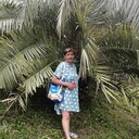  ,   , 61 ,   c 