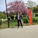 ���������� �����������, ���� ������� ������, 29 ���, ������������ ��� ������, ����� � ���������