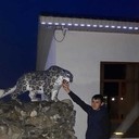 ���������� ������, ���� ������� �����, 30 ���, ������������ ��� ������, ����� � ���������, c�������� ���������