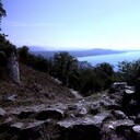 ���������� ���������, ���� ������� ���������, 31 ���, ������������ ��� ������, ����� � ���������