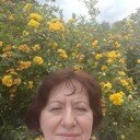 ���������� ����, ���� ������� �����, 62 ����, ������������ ��� c�������� ���������, ���������