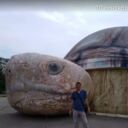 ���������� �������, ���� ������� Alexander, 43 ����, ������������ ��� ������, ����� � ���������, c�������� ���������, ���������