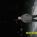 ���������� �������������, ���� ������� ����, 45 ���, ������������ ��� ������, ����� � ���������, c�������� ���������