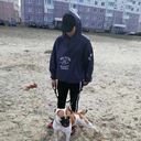 ���������� ��������, ���� ����� ������, 22 ����, ������������ ��� ������, ����� � ���������