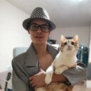  ,   , 29 ,   ,   , c 