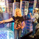 ���������� ������, ���� ������� ������, 56 ���, ������������ ��� ������, ����� � ���������, c�������� ���������