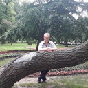  -,   , 50 ,     , c , 