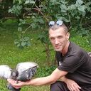 ���������� ������, ���� ������� �������, 50 ���, ������������ ��� ������, ����� � ���������, c�������� ���������, ���������