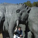 ���������� ������, ���� ������� �����, 52 ����, ������������ ��� ������, ����� � ���������, c�������� ���������