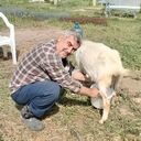 ���������� �����������, ���� ������� ��� ���, 58 ���, ������������ ��� c�������� ���������