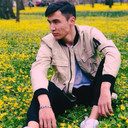 ���������� �����, ���� ������� ������, 43 ����, ������������ 