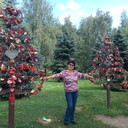  ,   , 63 ,   ,   , c 