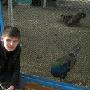 ���������� ������, ���� ������� ���������, 33 ����, ������������ 