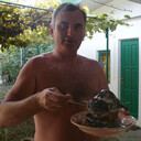  ,   , 57 ,   ,   