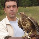 ���������� ��������, ���� ������� Dess, 50 ���, ������������ ��� ����� � ���������, c�������� ���������