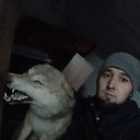 ���������� ������, ���� ������� Tima, 31 ���, ������������ 