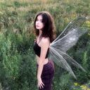  ,   , 24 ,     , c 