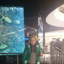  ,   Godunov, 46 ,   ,   , c 