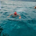 ���������� �����, ���� ������� �������, 36 ���, ������������ ��� ������, ����� � ���������, c�������� ���������