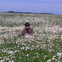 ���������� �������, ���� ������� ���������, 55 ���, ������������ 