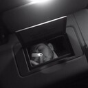 ���������� ������, ���� ������� ������, 26 ���, ������������ ��� ������, ����� � ���������