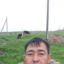 ���������� �������, ���� ������� �����, 38 ���, ������������ ��� ������, ����� � ���������, c�������� ���������