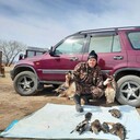 ���������� ������������, ���� ������� �������, 36 ���, ������������ ��� ����� � ���������, c�������� ���������