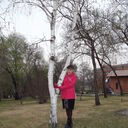  ,   , 41 ,   ,   , c , 