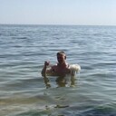 ���������� ����, ���� ������� Tollik, 53 ����, ������������ ��� ������, ����� � ���������