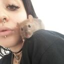  ,   , 22 ,     , c 