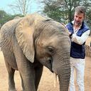 ���������� ������, ���� ������� ������, 41 ���, ������������ ��� ������, ����� � ���������, c�������� ���������, ���������