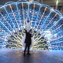 ���������� �����, ���� ������� �����, 39 ���, ������������ ��� ������, ����� � ���������, c�������� ���������