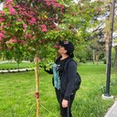 ���������� ������� ����������, ���� ������� Lud����, 42 ����, ������������ ��� ����� � ���������, c�������� ���������, ���������