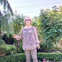 ���������� �������, ���� ������� ������, 67 ���, ������������ ��� ���������