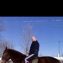 ���������� �����-���������, ���� ������� �������, 38 ���, ������������ ��� ������, ����� � ���������