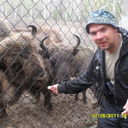  ,   Zhegan2, 44 ,   