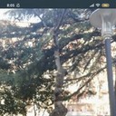  ,   Misha, 43 ,   ,   , c 