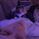 ���������� ������, ���� ����� ���������, 21 ���, ������������ ��� ������